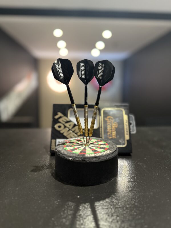 BEAU GREAVES 180 DARTS
