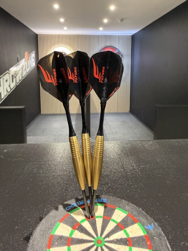 ANDREW GILDING DARTS OR CASH