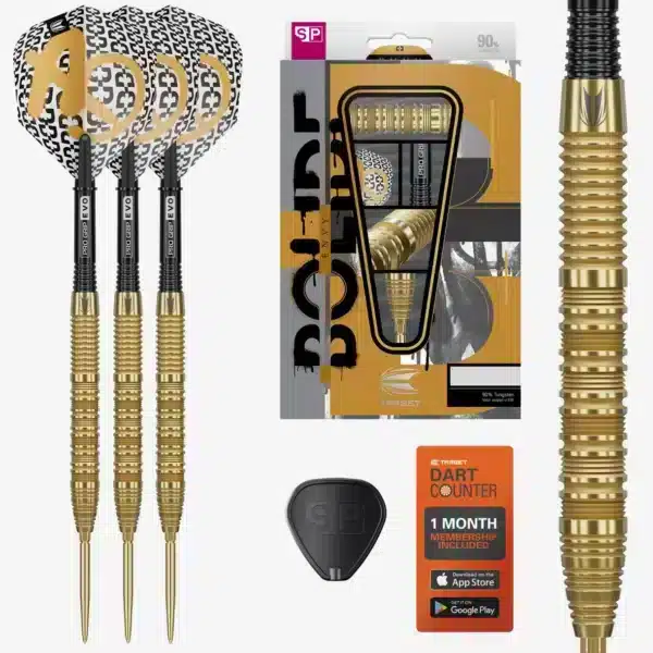 BOLIDE ENVY 01 SP DARTS